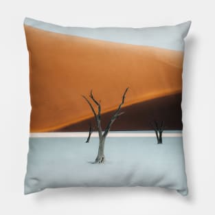 Deadvlei Pillow