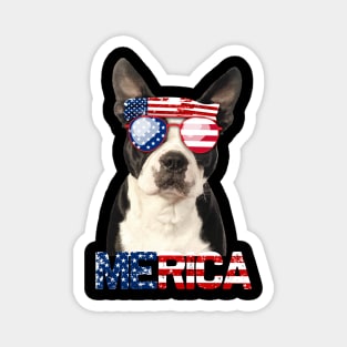 Merica Boston Terriers Dog American Flag 4Th Of July Magnet