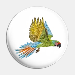 Exotic Parrot Pin