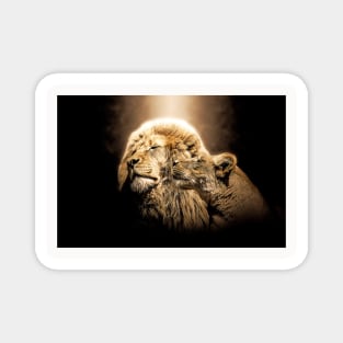 Lion Animal Wildlife Jungle Nature Safari Adventure Discovery Africa Digital Painting Magnet