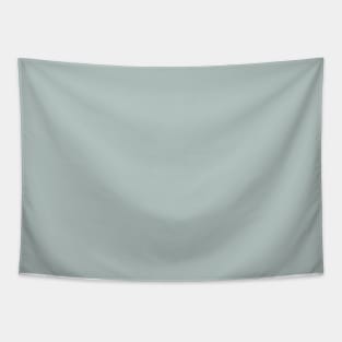 Minimalist pale dusty greenish gray color decor Tapestry