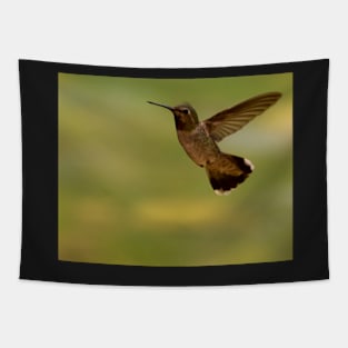 Hummingbird Tapestry