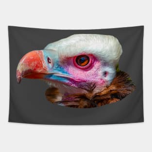 Head of a White Faced Vulture Tapestry