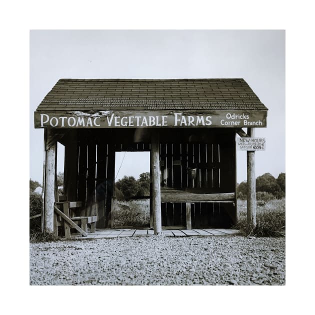 Potomac Vegetable Farms by pvjaffe