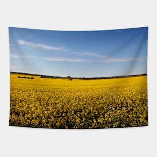 Rural sea of Canola Tapestry