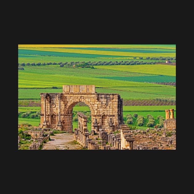 Volubilis Arch & Countryside. by bulljup