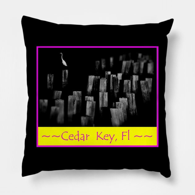 cedar key florida Pillow by Expressive Photography