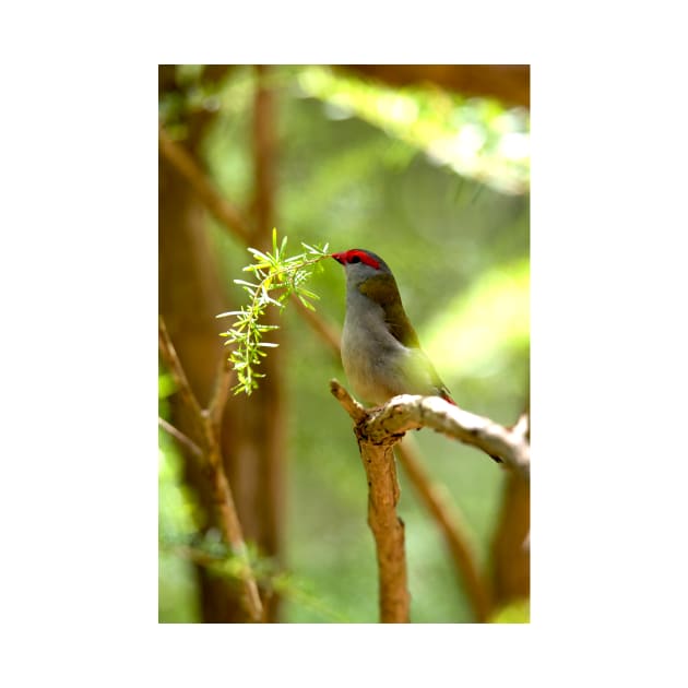 Nesting Material by GP1746