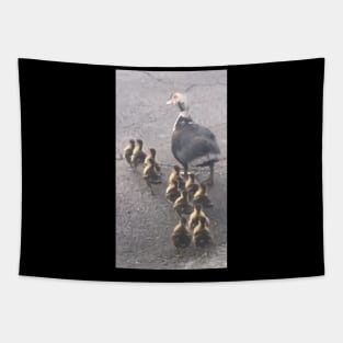 Lovely ducks Tapestry