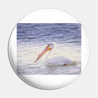 White American Pelican Peacefully Drifting Pin