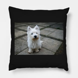 Westie Pillow