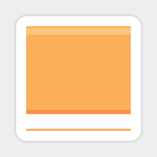 An unexampled package of Twilight, White, Sandy, Pale Orange and Orangeish stripes. Magnet