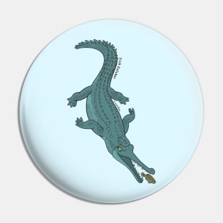 Fish Catcher - EN - Gharial Pin