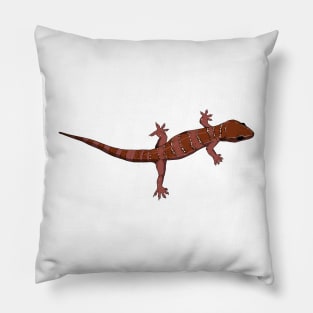 Drawing - Indian Three Banded Gecko Pillow