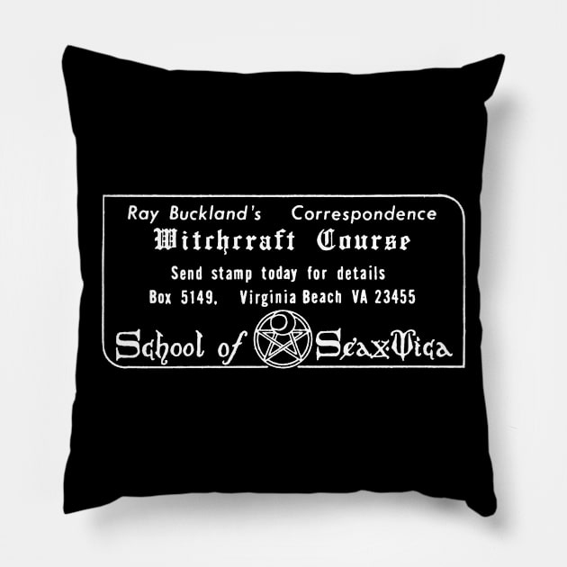 Witchcraft Course / Cult Classic Wicca Advertisement Pillow by CultOfRomance