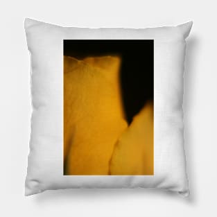 Yellow Rose Macro Pillow