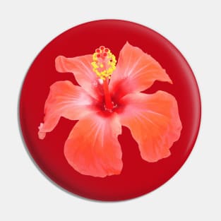 Red Hibiscus Vector Isolated Botanical Art Pin