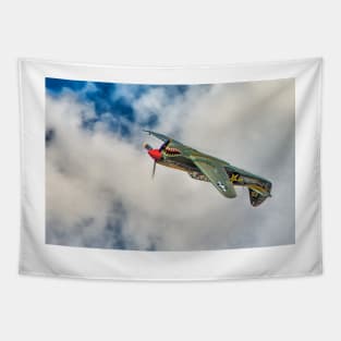 Upside down  P40 Flying Tiger Tapestry