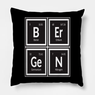 Element of Bergen City Pillow