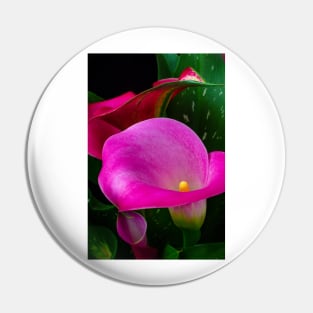 Pink Calla Lily Garden Still Life Pin