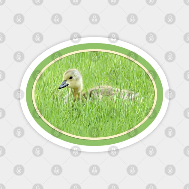 One Gosling No.q Magnet by MaryLinH