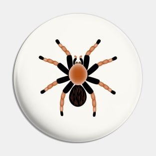 Spider Tarantula Pin