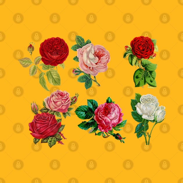 Roses pattern Art by Emart