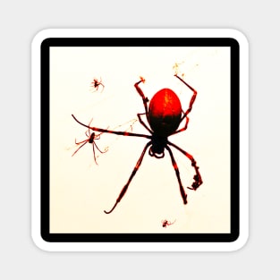 Red Spider! Magnet