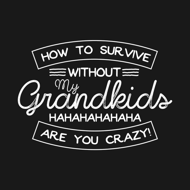 Funny Grandma or Garnddad Gift by RJCatch