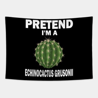 Pretend I'm A Echinocactus Grusonii Fun Lazy Easy Halloween Tapestry