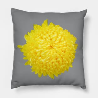 Yellow Chrysanthemum Floral Photo Cutout Pillow