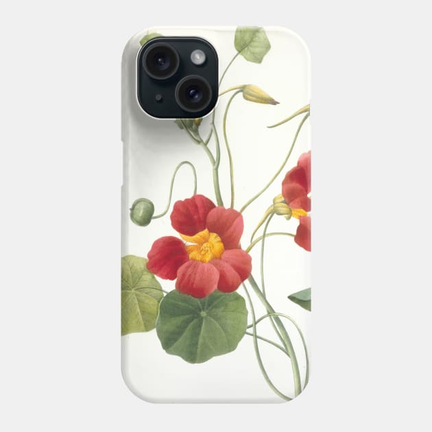 Tropaeolum majus (Garden Nasturtium) by Pierre-Joseph Redoute Phone Case by Classic Art Stall