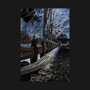 Ghostly Central Park in NYC T-Shirt