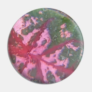 Abstract Caladium In Nature Pin