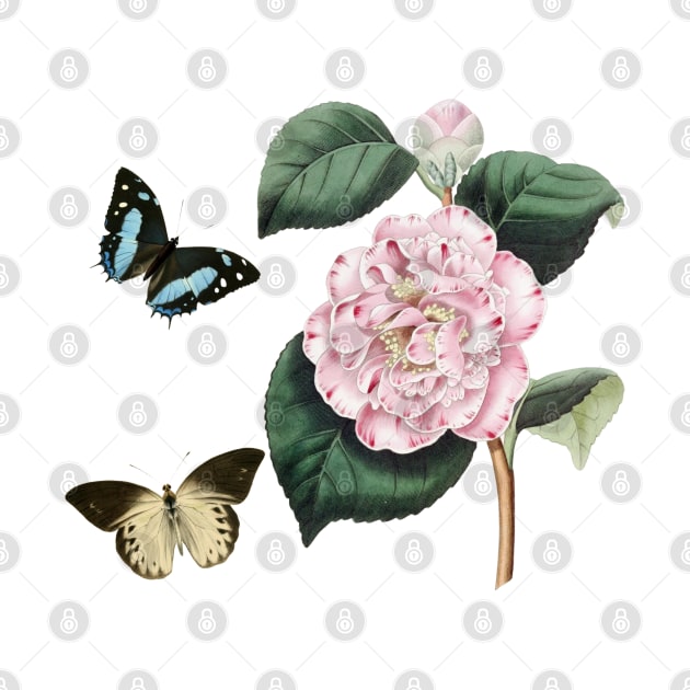 Watercolor of pink camellia flowers and butterflies by Rubi16