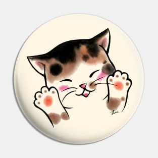 Healthy hands cat Pin