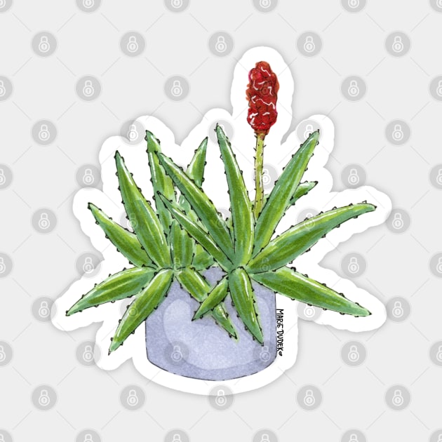 Aloe Magnet by Marie Dudek