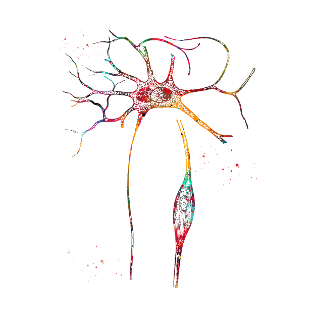 Neurons Cells by erzebeth