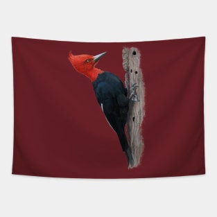 Magellanic woodpecker Tapestry