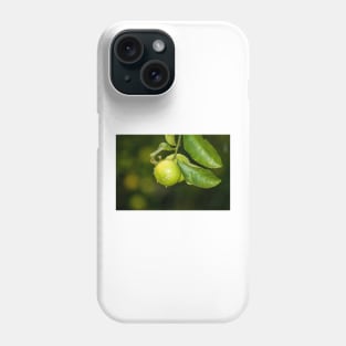 402018 lime Phone Case