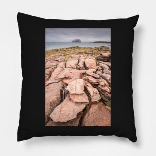 Seacliff Intertidal Rocks #3 Pillow