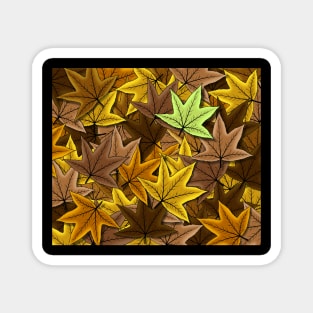 Fall maple leaf pattern background in Autumn Season Magnet