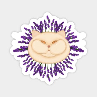 Lavender cat. Cute cat with flowers Magnet