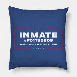 Inmate P01135809 Pillow