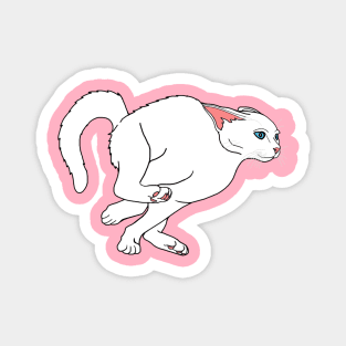 Running Hyper White Cat Magnet