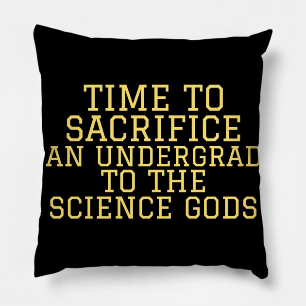 Time to Sacrifice and Undergrad Pillow by Chemis-Tees