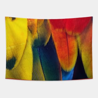 Tropical Colorful Feather Pattern Tapestry