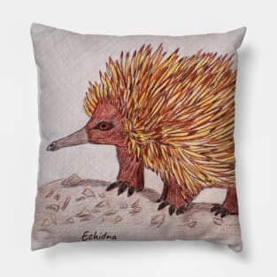 Echidna 2 Pillow