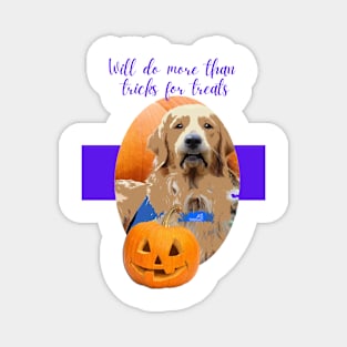 Halloween Grad Magnet