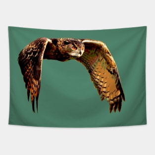 Owl in Flight Eurasian Owl Tapestry